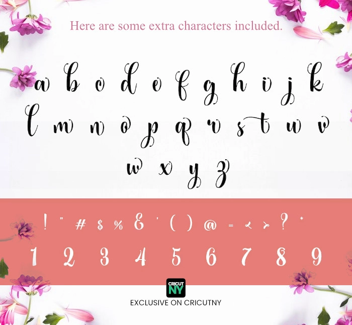 curly font alphabet