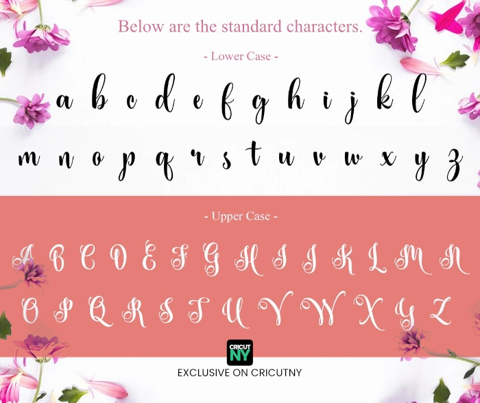 curly font free download