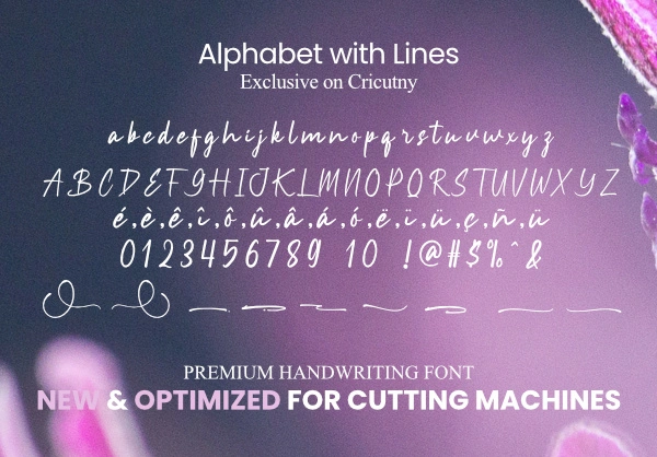 handwritten font with french accents